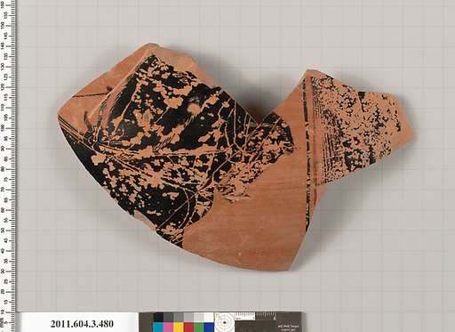Terracotta fragment of a neck-amphora of Panathenaic shape
