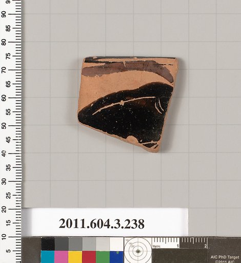 Terracotta rim fragment of an undetermined shape