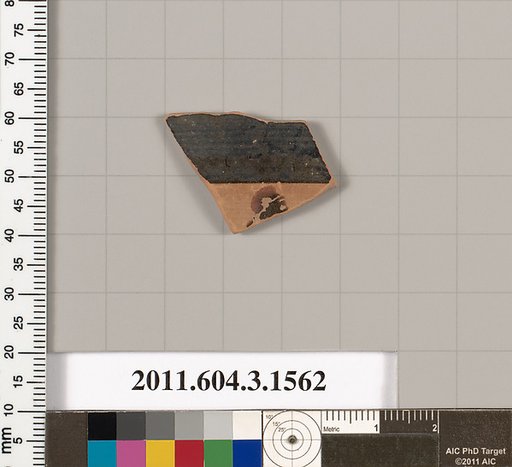 Terracotta fragment of a kylix: Band cup (drinking cup)