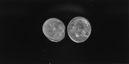 Sleeve Button