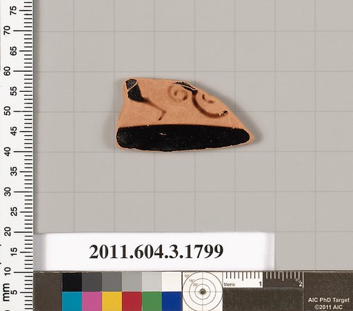 Terracotta fragment of a kylix: Lip cup (drinking cup)