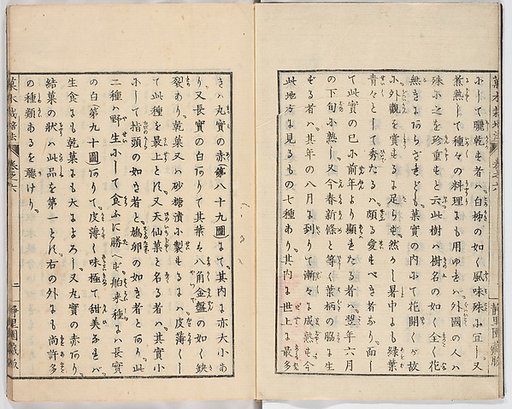 Illustrated book