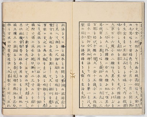Illustrated book