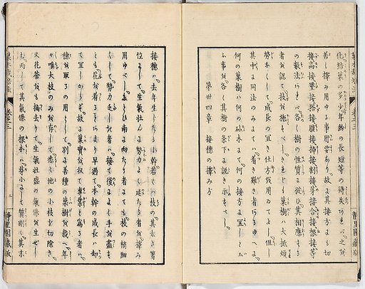 Illustrated book