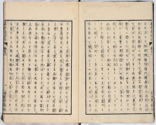 Illustrated book