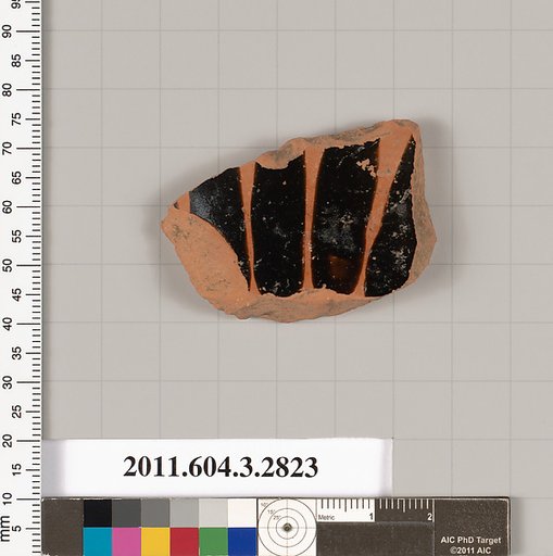 Terracotta fragment from an amphora (jar)?