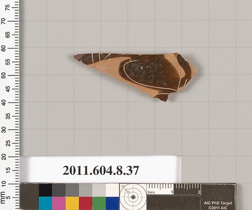 Terracotta fragment of an open shape