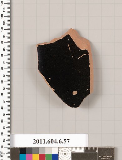Terracotta fragment of an amphora (jar)?