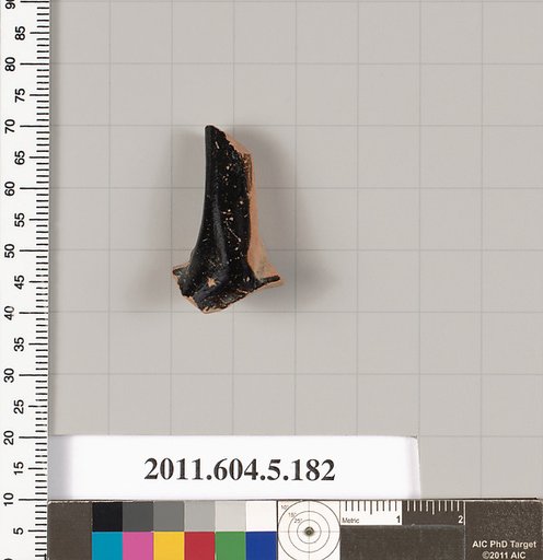 Terracotta fragment of a kylix (drinking cup)