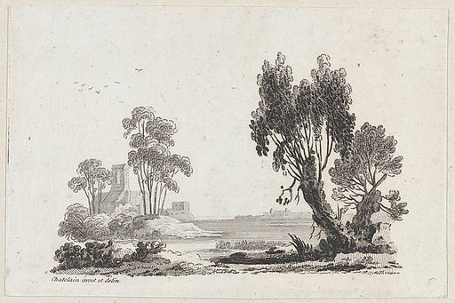 Landscape
