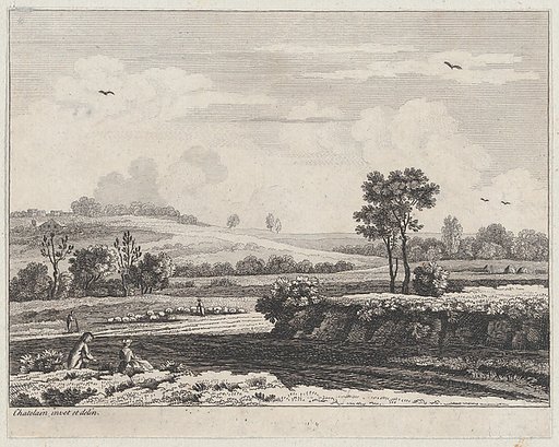 Landscape