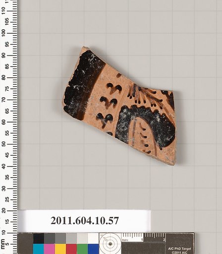 Terracotta fragment of a kylix (drinking cup)