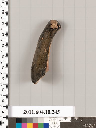 Terracotta fragment of a kylix (drinking cup)?