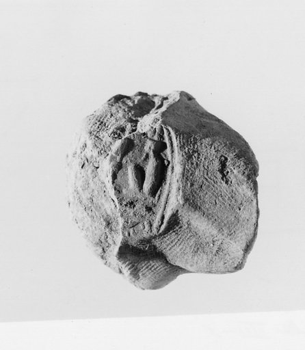 Document Sealing With the Throne Name of Amenhotep III