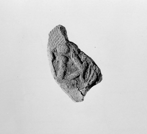Document Sealing With the Throne Name of Amenhotep III