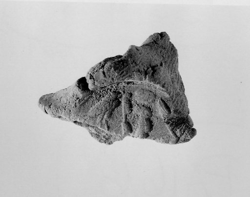 Document Sealing With the Throne Name of Amenhotep III