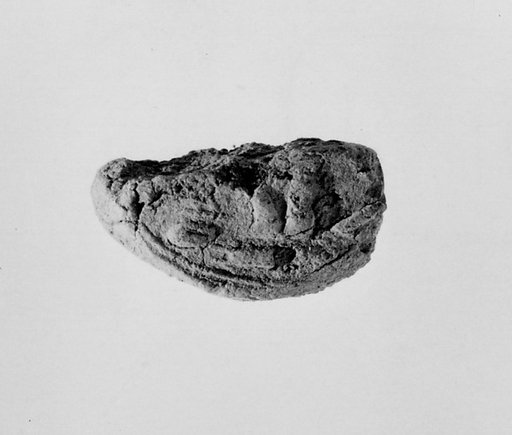 Document Sealing With the Throne Name of Amenhotep III