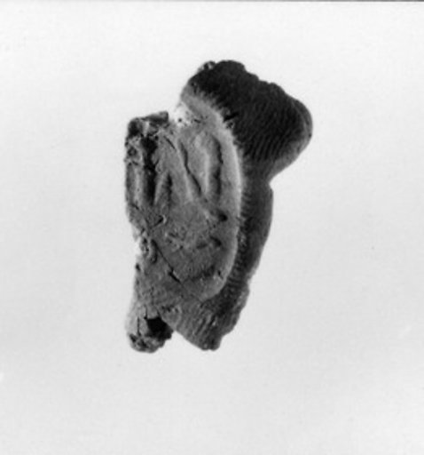 Document Sealing With the Throne Name of Amenhotep III