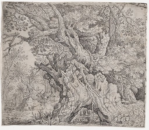 Gnarled Trees and Twisted Roots Before a Swamp