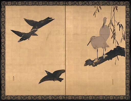 Egrets and Crows