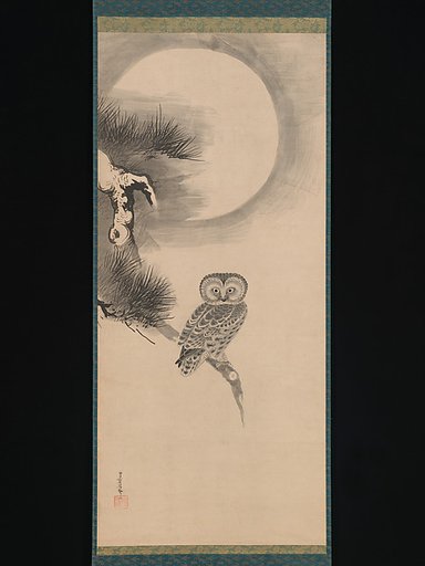 Owl on a Pine Branch