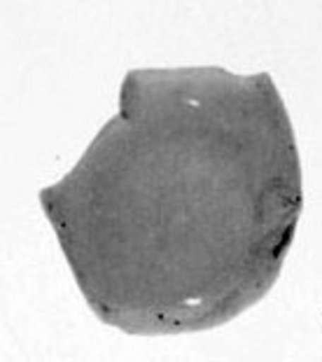 Fragment of a bowl