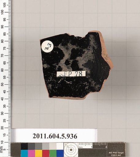 Terracotta fragment of a kylix (drinking cup)