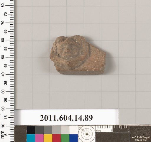Terracotta fragment of a vase?