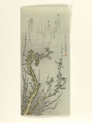 Old Plum Tree