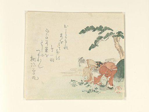 Two Girls Collect New Year's Herbs