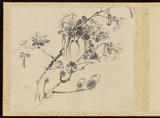 "Refined Elegance in the Four Seasons" (Shiji seiga), Album of Flower Paintings