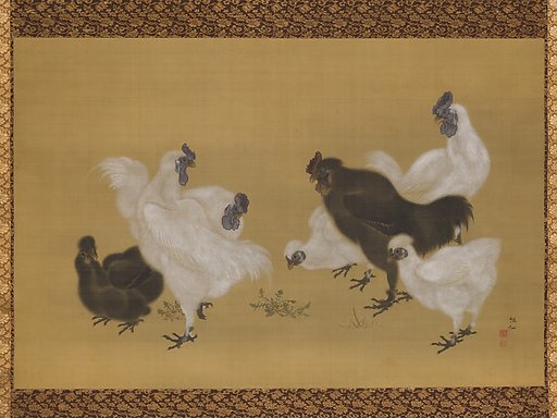 Silkies