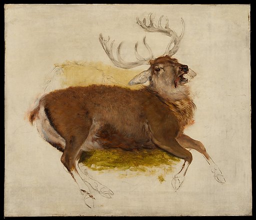 Dying Stag