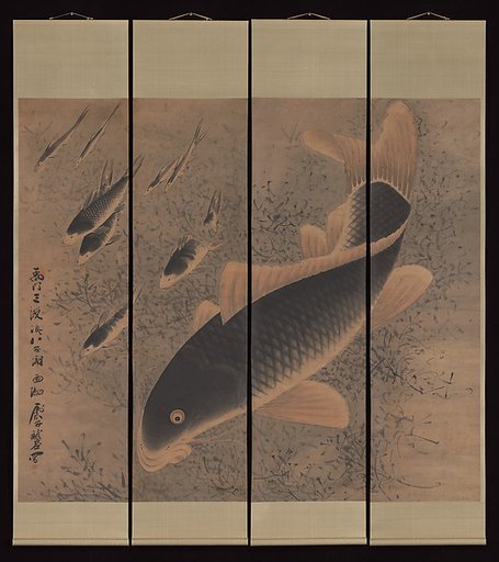 Nine carp