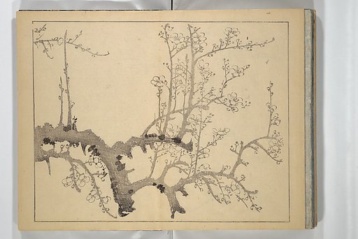 The Four Worthies (Plum, Bamboo, Orchid, Chrysanthemum) (Shikunshi) 竹洞四君子