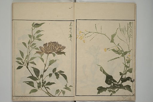 How to Draw Plants and Flowers Simply (Sōka ryakugashiki) 草花略画式