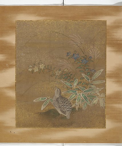 Album of Birds and Flowers and Other Subjects