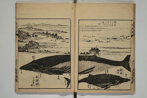 Whales and Whale Oil (Jokō roku) 除蝗録