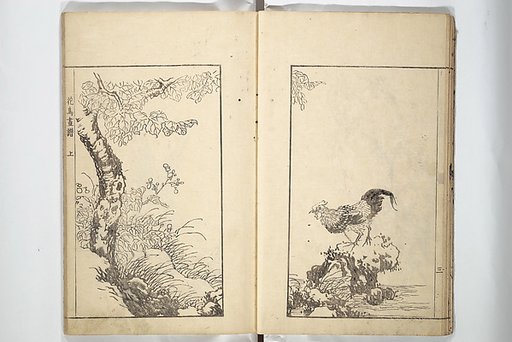 Sō Shiseki Picture Album (Sō Shiseki gafu)  宋紫石画譜