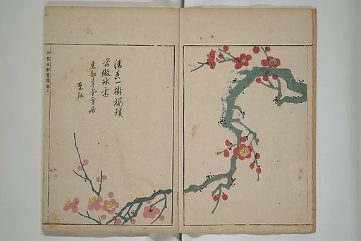 A Collection of Lively Sketches [Of Flowers and Insects] of the Ming Dynasty (Minchō shiken) 明朝紫硯