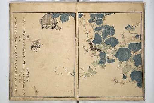 Picture Book of Selected Insects (The Insect Book) (Ehon mushi erami) 画本虫撰