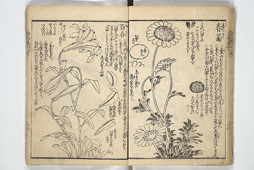 Picture Book on the Use of Coloring, first volume (Ehon saishikitsū shohen) 繪本彩色通 初編