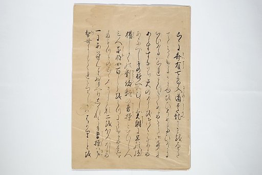 Extract of Manuscript Leaves