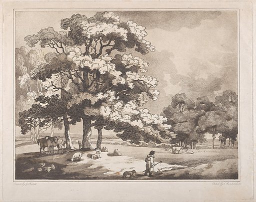 A Park Landscape