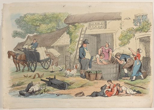 Plate 16, from "World in Miniature"