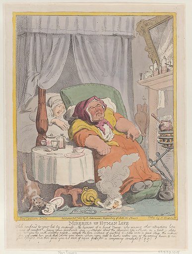Miseries of Human Life: "While confined to your bed by sickness..."