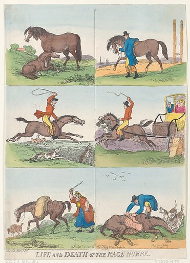 Life and Death of the Race Horse