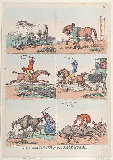 Life and Death of the Race Horse