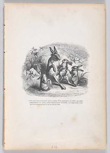 The oldest rabbit jumped respectfully on his grandfather's lap..., from "Scenes from the Private and Public Life of Animals"