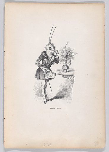 An Old Butterfly, from "Scenes from the Private and Public Life of Animals"